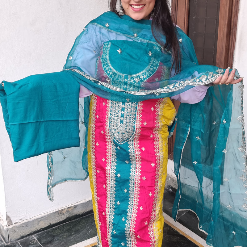 Royal Radiance Embroidered Suit