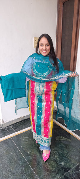 Royal Radiance Embroidered Suit