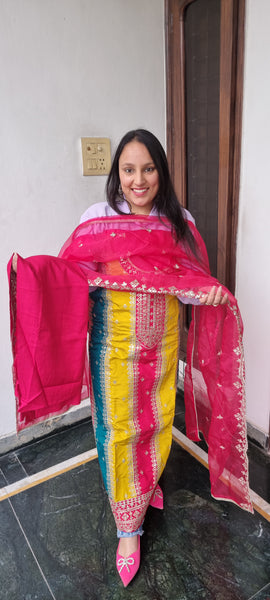 Vibrant Radiance Embroidered Suit